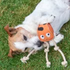 Sid the octopus - eco dog toy