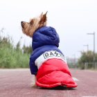 Dashi Stripes Red&Blue kutyakabát  4XL (56cm háthossz)