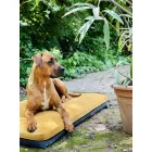 Premium dog bed Soft Magic Okker L (100x70cm)