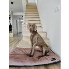 NRDOGS Basic dog bed Soft Magic Pink XL 107x68 cm
