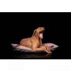 NRDOGS Basic dog bed Soft Magic Beige L 90x56 cm