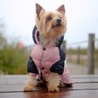 Dashi Stripes Pink&Schwarz Hundemantel 2XL (48 cm Rückenlänge)