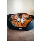 NRDOGS Peremes Kutyafekhely Soft Magic Okker