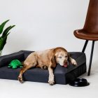 Ortoped Pro Kutyafekhely Soft Magic Grey XL (120x80cm)