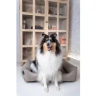 COVERS For Soft Magic Beige Basket Dog Bed  S