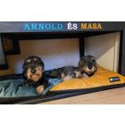 NRDOGS Basic dog bed Soft Magic Ocean XL 107x68 cm