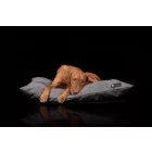 NRDOGS Basic dog bed Soft Magic Grey L 90x56 cm