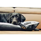 NRDOGS Basic dog bed Soft Magic Grey L 90x56 cm