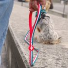 Dashi Stripes Green&Red póráz