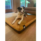 Premium dog bed Soft Magic Okker XL (120x80cm)