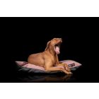 HUZAT Basic Kutyafekhelyre Soft Magic Pink L (90x56cm)