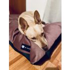 HUZAT Basic Kutyafekhelyre Soft Magic Pink L (90x56cm)