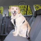 Trixie car safety harness for dogs + lead XS 20-25cm