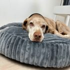 NRDOGS Zuma Kutyafekhely Szürke L 100 cm