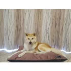 NRDOGS Basic Kutyafekhely Soft Magic Pink L 90x56 cm