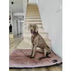NRDOGS Basic Kutyafekhely Soft Magic Pink L 90x56 cm