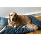 NRDOGS Basic Kutyafekhely Soft Magic Ocean