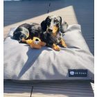 HUZAT Basic Kutyafekhelyre Soft Magic Grey