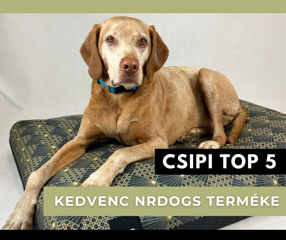 Csipi TOP 5 kedvenc NRDOGS terméke