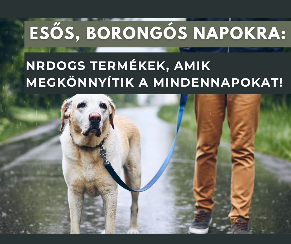 Esős, borongós napokra: NRDOGS termékek, amik megkönnyítik a mindennapokat!