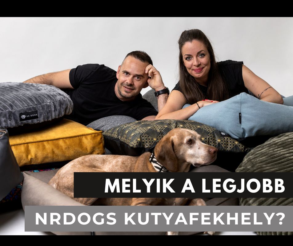 Melyik a legjobb NRDOGS kutyafekhely?