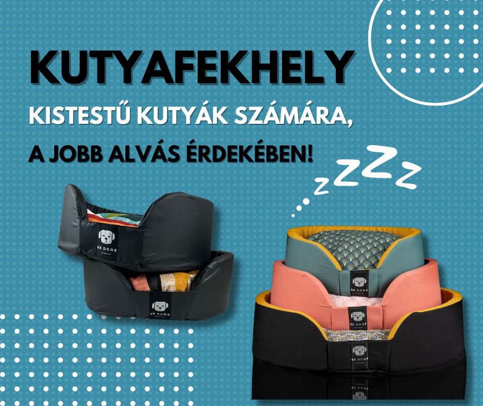 Kutyafekhely kistestű kutyák számára, a jobb alvás érdekében!