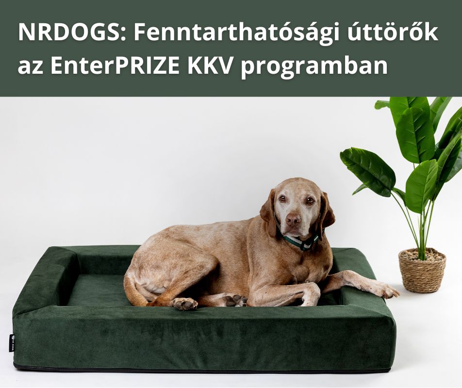 NRDOGS: Fenntarthatósági úttörők az EnterPRIZE KKV programban