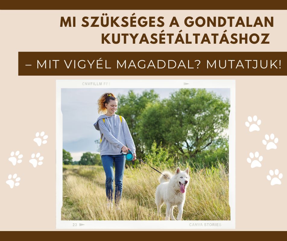 Mi szükséges a gondtalan kutyasétáltatáshoz – mit vigyél magaddal? Mutatjuk!