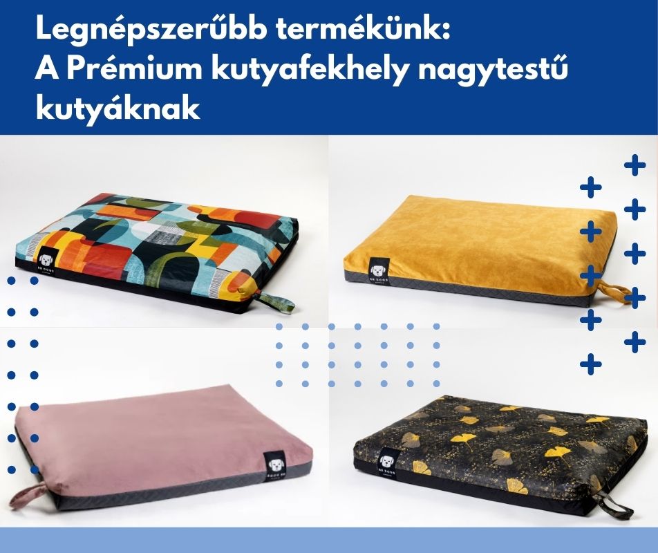 Legnépszerűbb termékünk: A Prémium kutyafekhely nagytestű kutyáknak