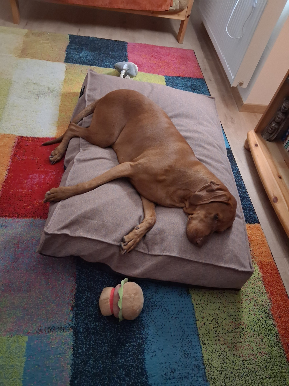 NRDOGS Comfort Kutyafekhely Arte Girls XL (120x80cm)
