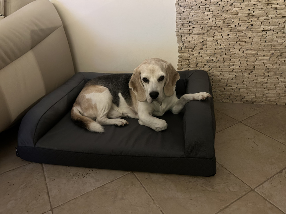 Ortoped Pro Kutyafekhely Soft Magic Grey L (100x70cm)