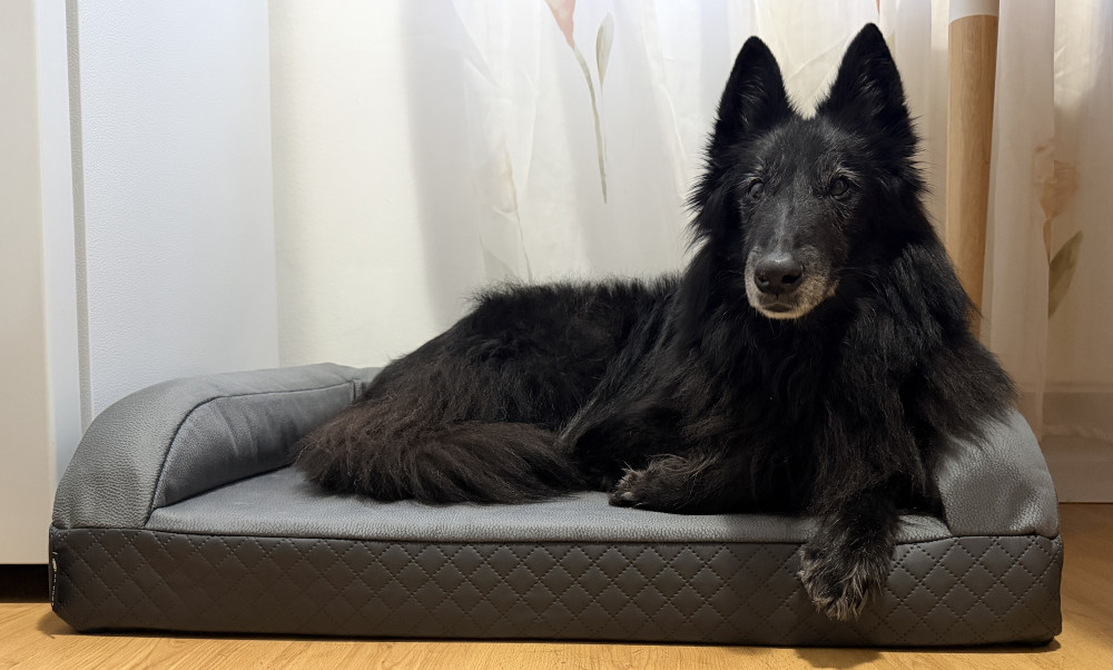 Ortoped Pro Kutyafekhely Soft Magic Grey
