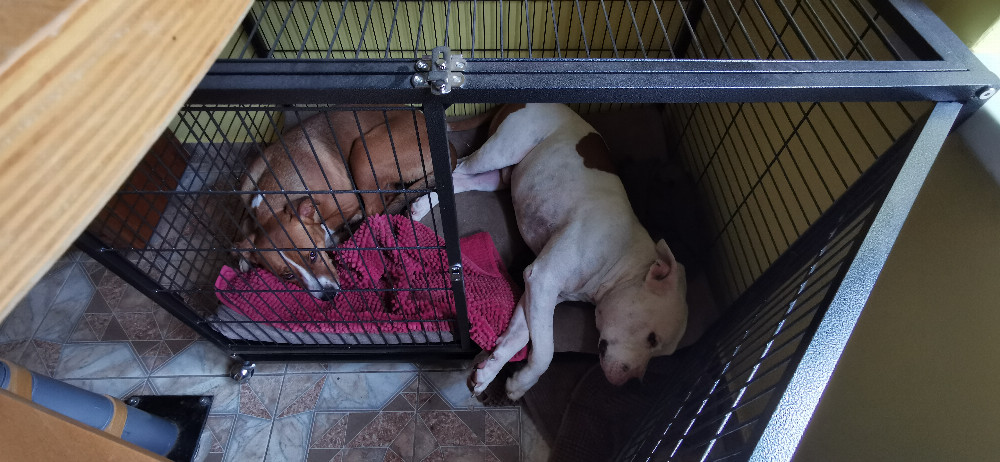 NRDOGS Fully Pillow Bézs/Szürke Kutyafekhely NRDOGS Fully Pillow Bézs/Szürke Kutyafekhely