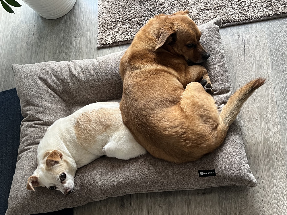 NRDOGS Fully Pillow Bézs/Szürke Kutyafekhely NRDOGS Fully Pillow Bézs/Szürke Kutyafekhely