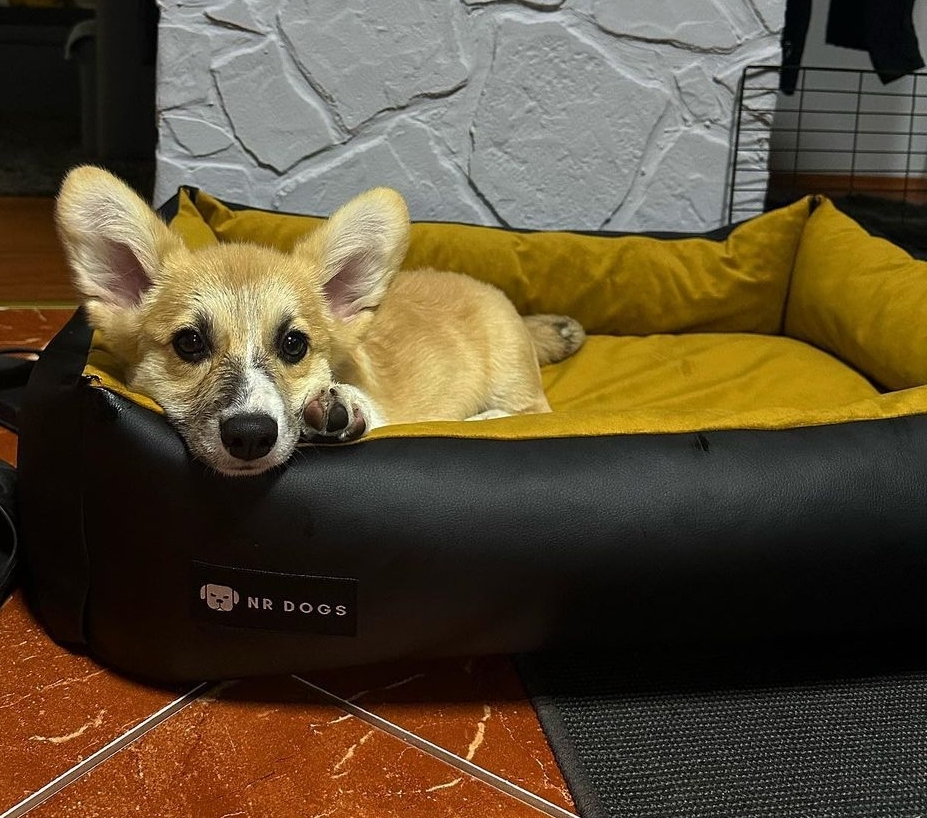 NRDOGS Basket Kutyafekhely Soft Bézs NRDOGS Basket Kutyafekhely Soft Bézs