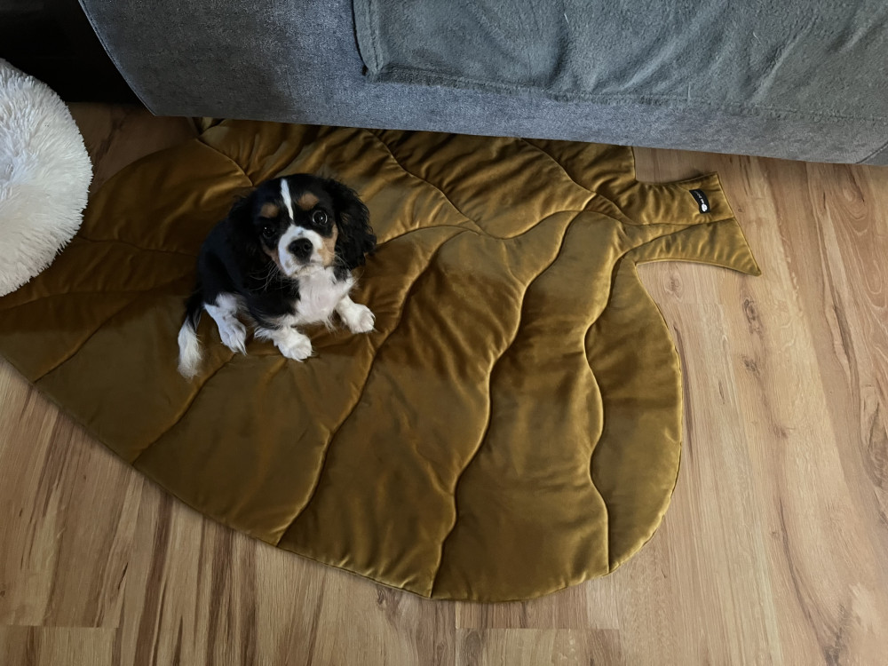 NRDOGS Leaf Okker Kutyaszőnyeg NRDOGS Leaf Okker Kutyaszőnyeg