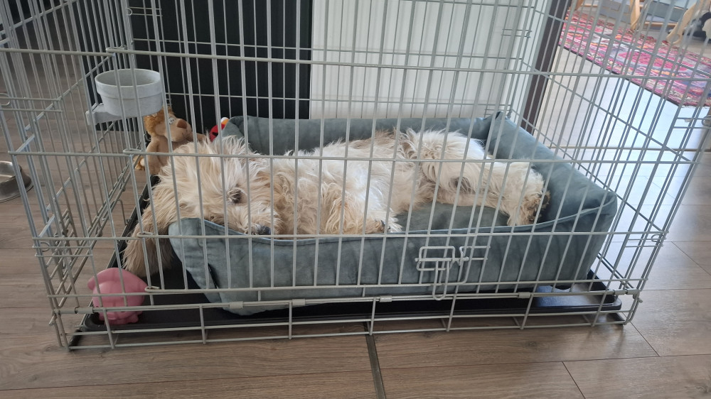 NRDOGS Basket Kutyafekhely Soft Magic Ocean
