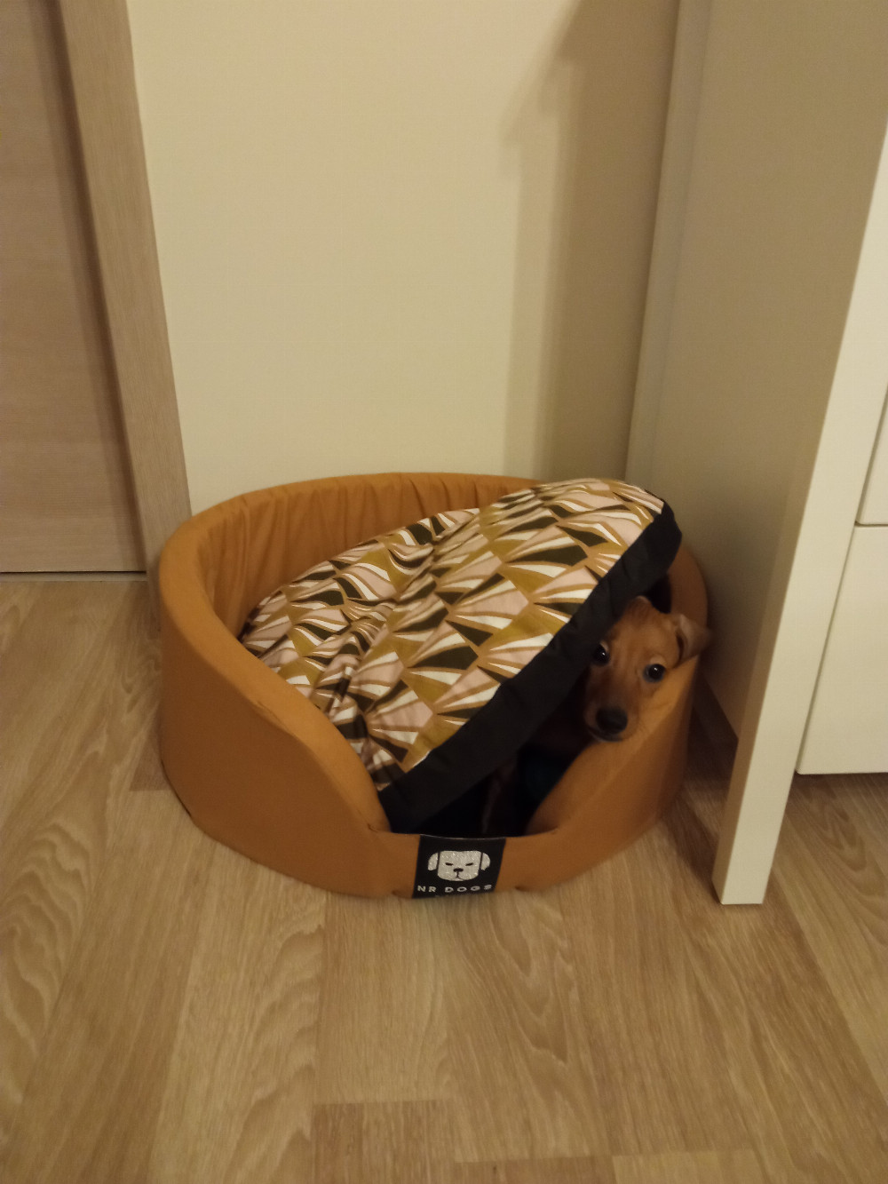 NRDOGS Peremes Kutyafekhely Soft Magic Okker NRDOGS Peremes Kutyafekhely Soft Magic Okker