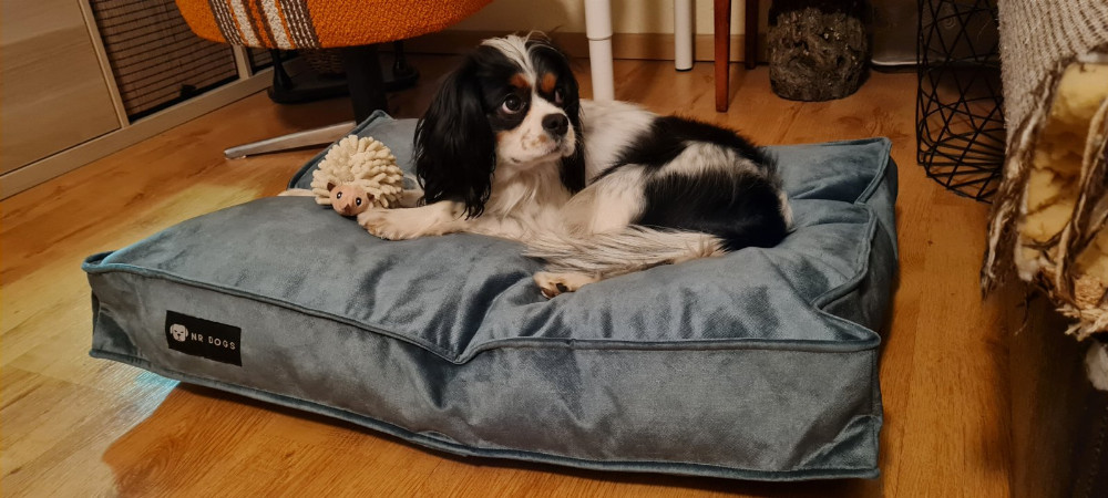NRDOGS Comfort Kutyafekhely Soft Magic Okker NRDOGS Comfort Kutyafekhely Soft Magic Okker
