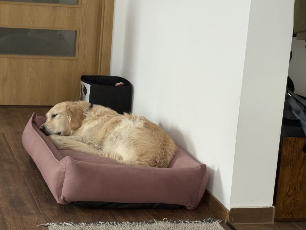 NRDOGS Basket Kutyafekhely Soft Magic Pink
