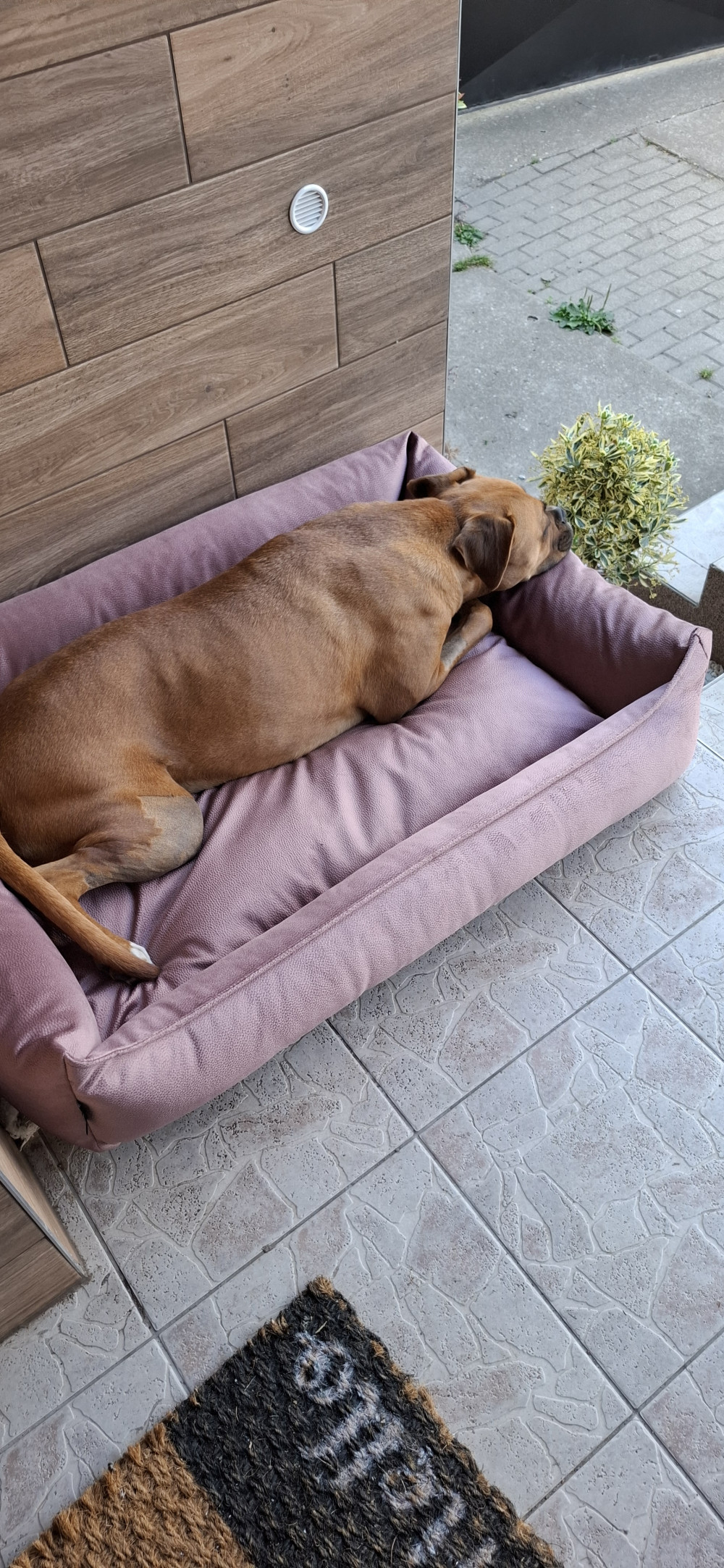NRDOGS Basket Kutyafekhely Soft Magic Pink
