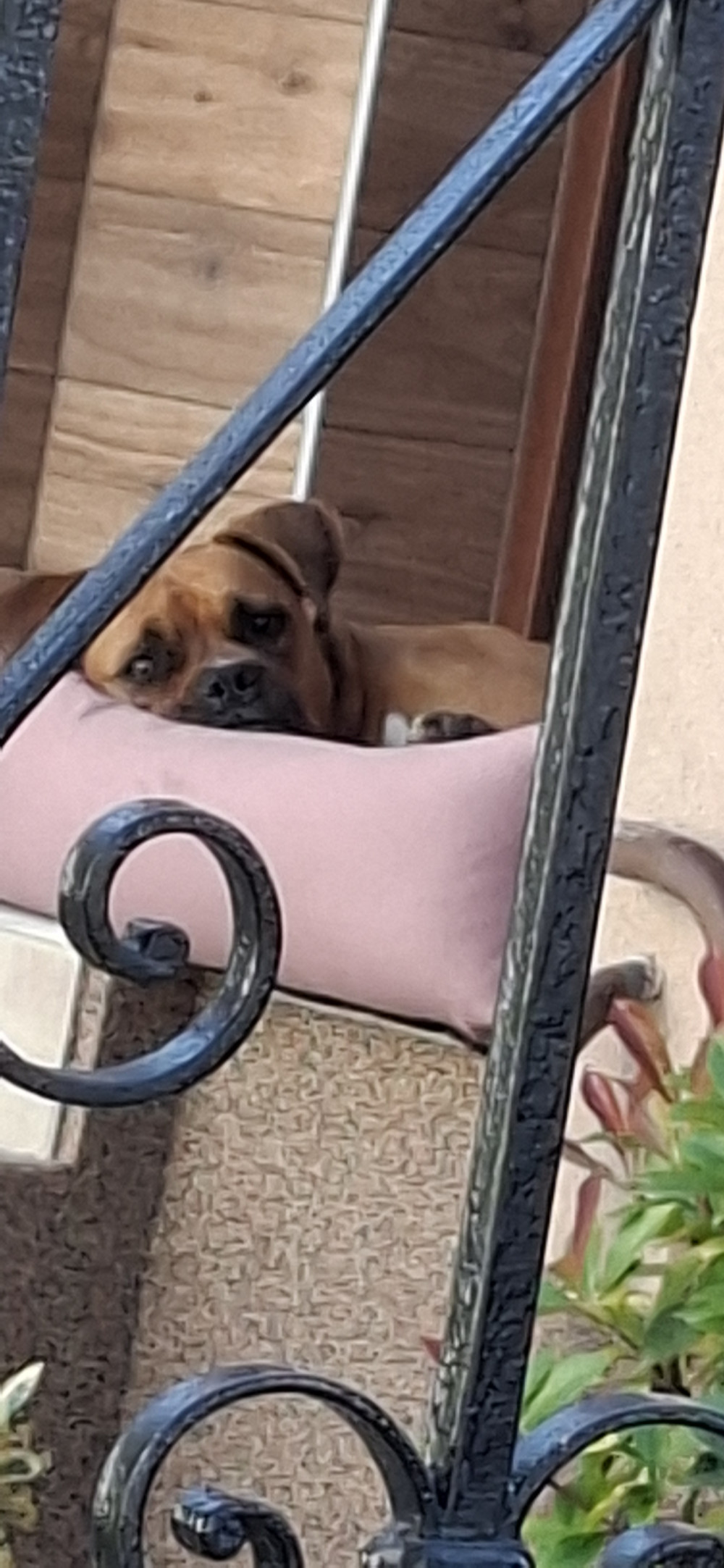 NRDOGS Basket Kutyafekhely Soft Magic Pink
