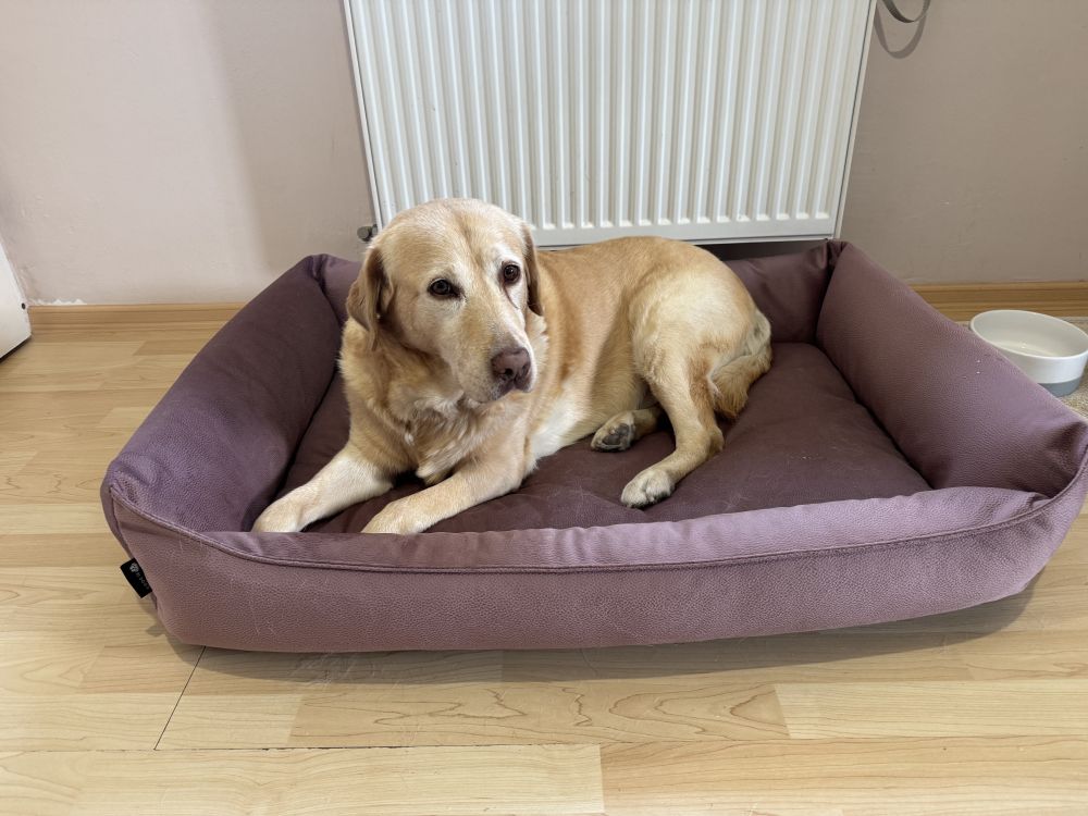 NRDOGS Basket Kutyafekhely Soft Magic Pink
