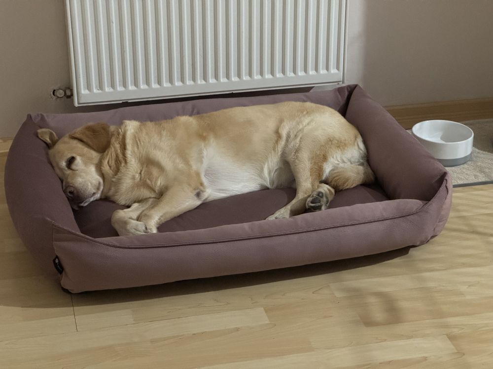 NRDOGS Basket Kutyafekhely Soft Magic Pink
