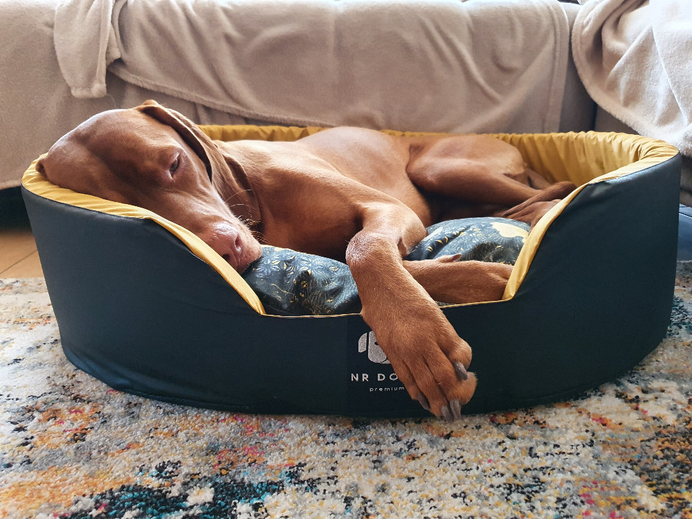 NRDOGS Peremes Kutyafekhely Soft Magic Okker NRDOGS Peremes Kutyafekhely Soft Magic Okker