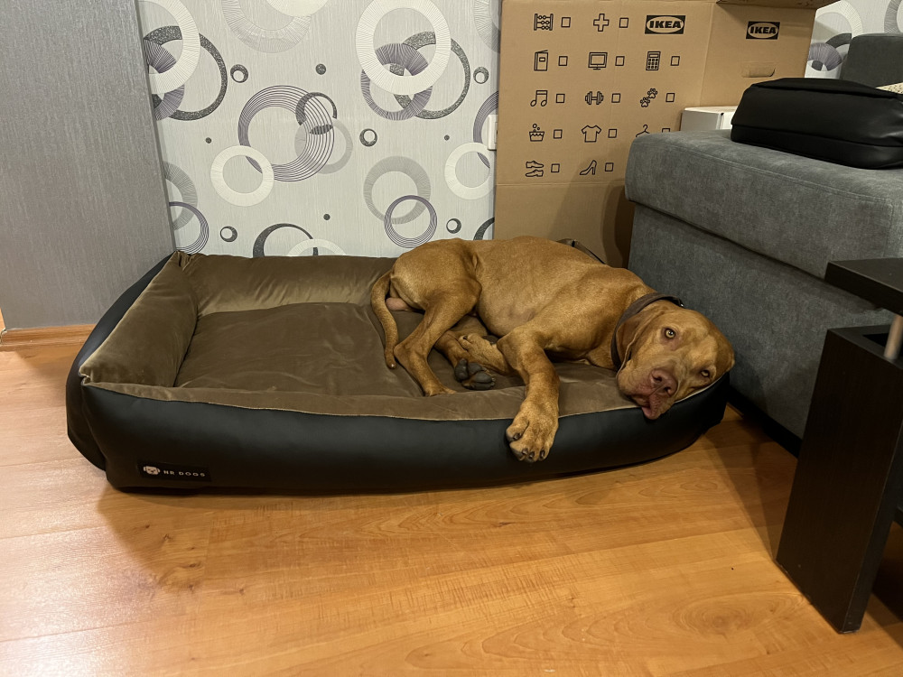 NRDOGS Basket Kutyafekhely Soft Bézs NRDOGS Basket Kutyafekhely Soft Bézs
