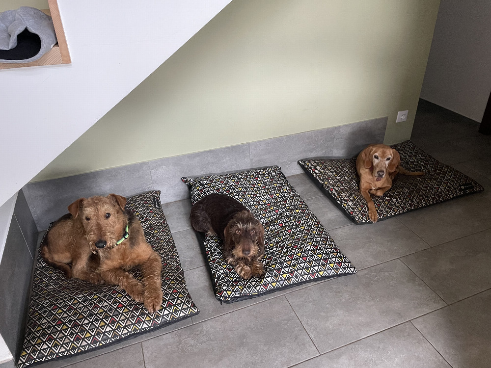 NRDOGS Basic Kutyafekhely Fun Aztek NRDOGS Basic Kutyafekhely Fun Aztek