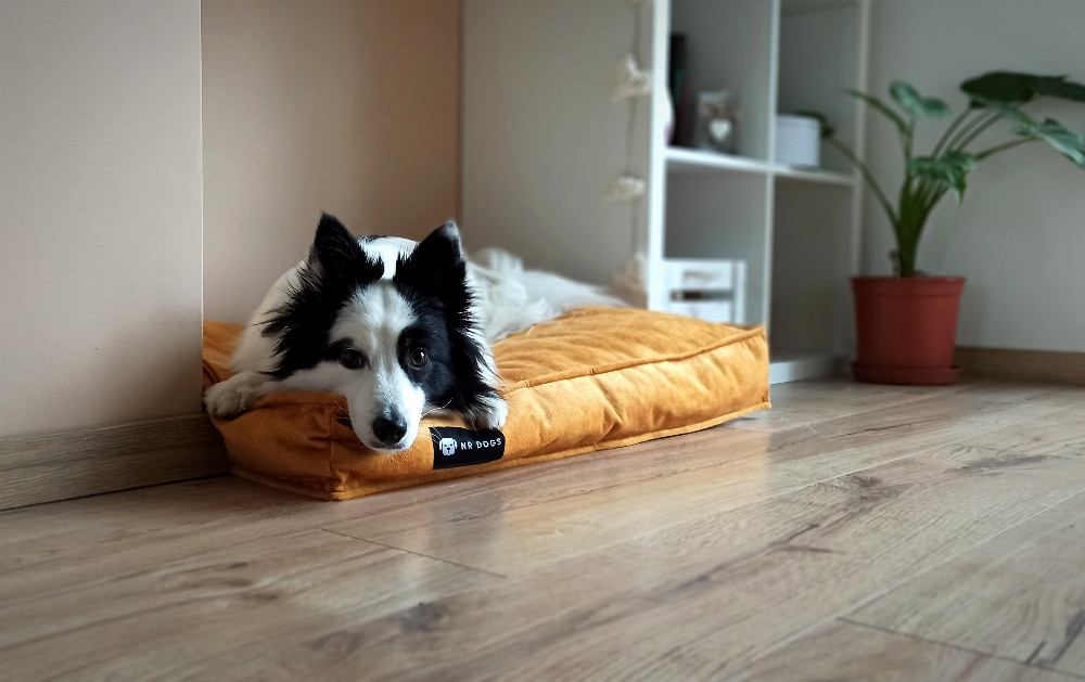 NRDOGS Comfort Kutyafekhely Soft Magic Okker NRDOGS Comfort Kutyafekhely Soft Magic Okker