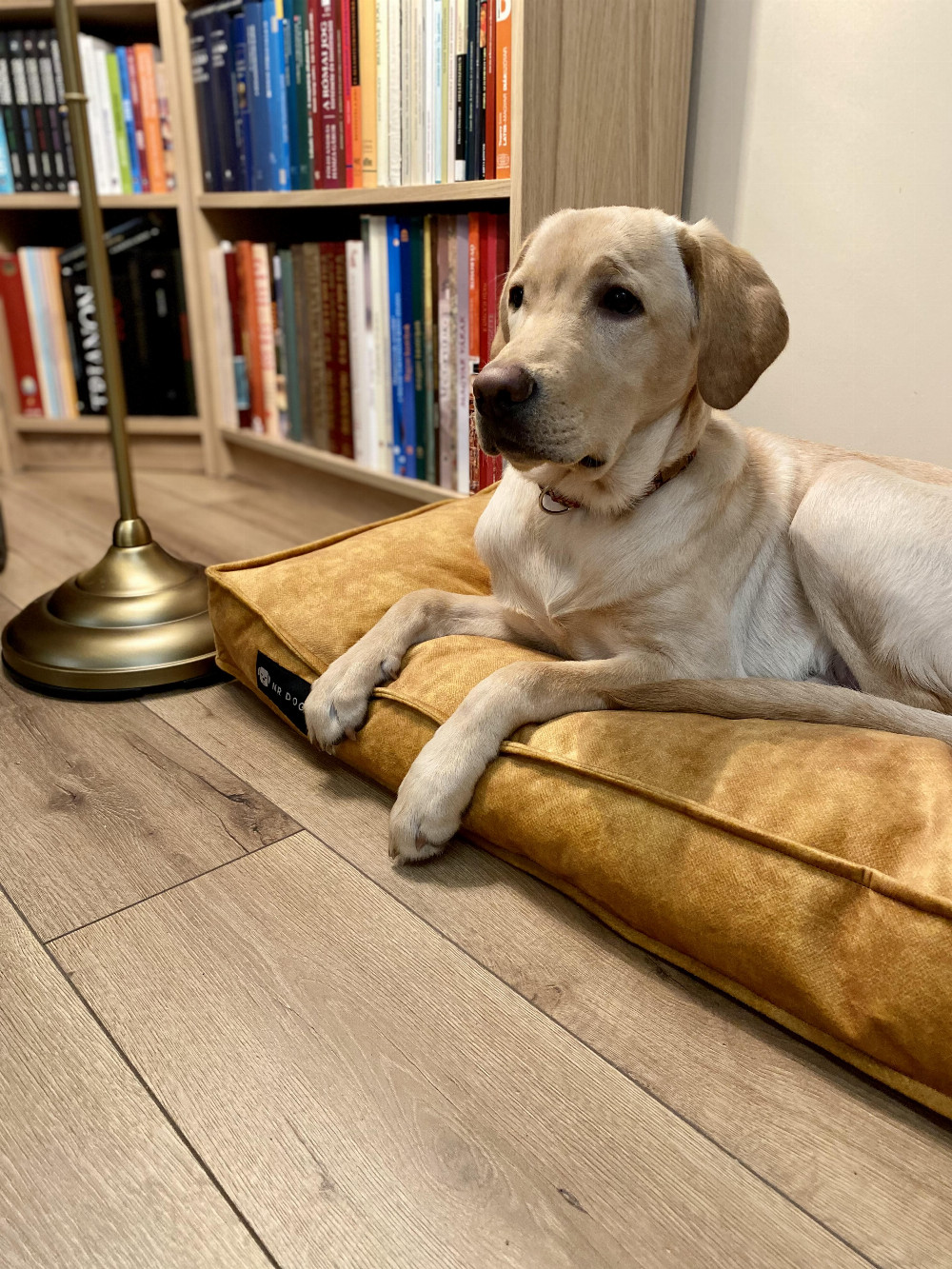 NRDOGS Comfort Kutyafekhely Soft Magic Okker NRDOGS Comfort Kutyafekhely Soft Magic Okker