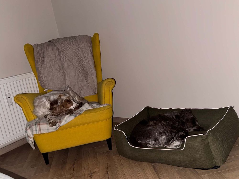  NRDOGS Lux Memory Kutyafekhely Oliva
